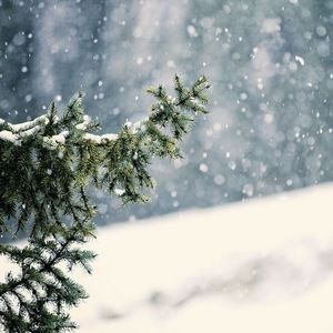 Meet your Posher, Jocelyn